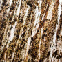 Каменный шпон Flat Stone Burning Forest 1220х610 мм Светопрозрачная основа