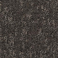 Ковровая плитка Desso Fields 9095