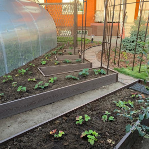 Грядочная доска ДПК Nautic Prime средняя 30х225х2950 Венге