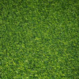 Искусственная трава Grass Premium 25