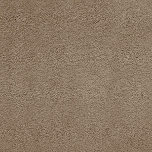 Ковролин AW Softissimo 49 (ш.р. 5 м)