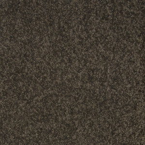 Ковролин BIG Ideal Camilla 995 (ш.р. 5 м)