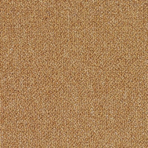 Ковровая плитка Desso 1908