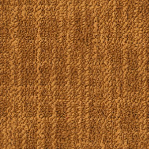 Ковровая плитка Desso Frisk 2055