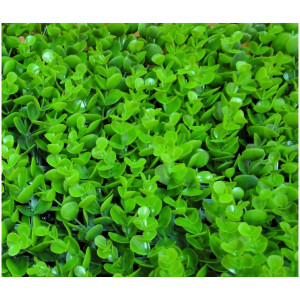 Модульная трава Darvin Grass Module Decor Design №1 Faulkner