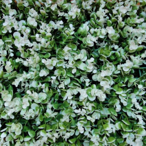 Модульная трава Darvin Grass Module Decor Design №19 Boxwood White