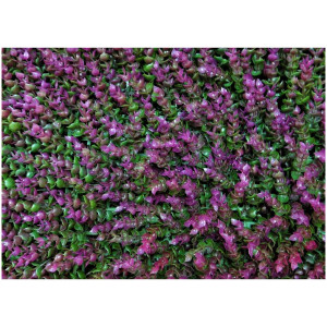 Модульная трава Darvin Grass Module Decor Design №2 Sage