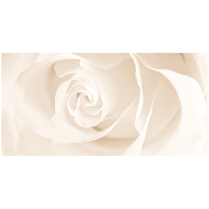 Декор Cersanit Effecta вставка бежевая (EC2L011) 29,8x59,8