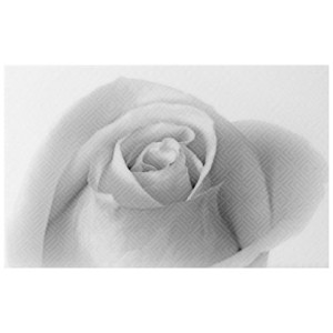 Декор Шахты Камелия чёрно-белый 01 010301001884