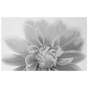 Декор Шахты Камелия чёрно-белый 03 010301001886