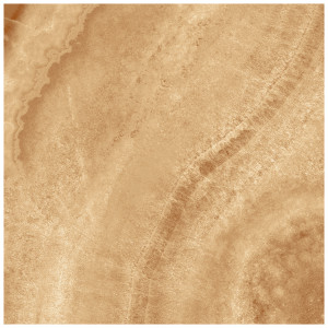 Керамогранит Laparet Prime оранжевый SG165400N 40,2х40,2