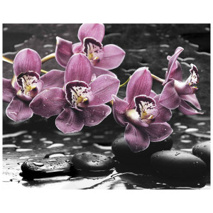 Плитка Mosplitka Панно Спа Орхидея 40х50