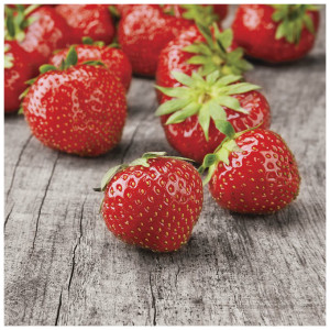 Плитка Mosplitka Вставка Клубника 2 10х10