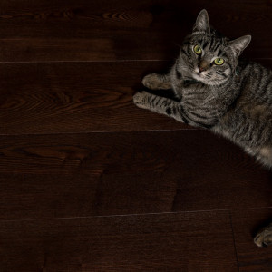 Паркетная доска Amber Wood Классика Ясень Кофе Браш