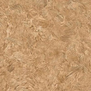 Линолеум Juteks Forum Pride 2 613M (ш.р. 3 м)