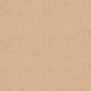 Линолеум Juteks Profi Master Proxi 1 3587 (ш.р. 2 м)