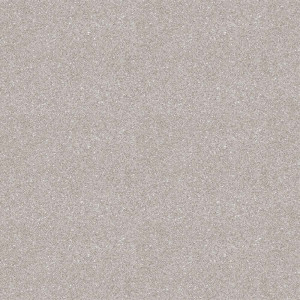 Линолеум Juteks Profi Master Proxi 2 0887 (ш.р. 3 м)