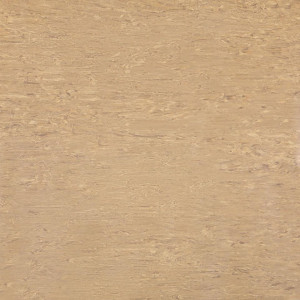 Линолеум Polystyl Alfa Standard 105 (ш.р. 2 м)