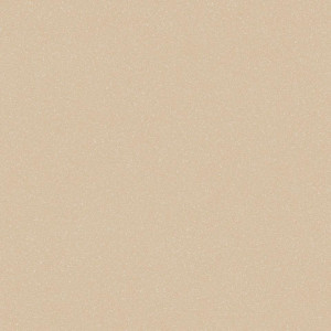 Линолеум Tarkett Acczent Pro Aspect 5 (ш.р. 3 м)