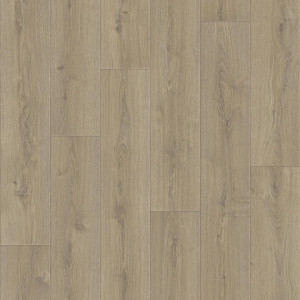 Линолеум Tarkett Praktika Bruno 1 (ш.р. 1.5 м)