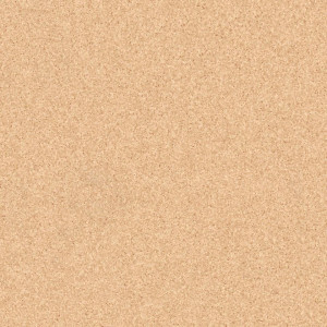 Линолеум Tarkett Primo Plus 304 (ш.р. 2 м)