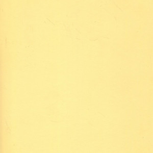 Настенный линолеум Grabo Muravyl 3119