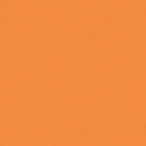 Спортивный линолеум Tarkett Omnisport Action 65 Orange (ш.р. 2 м)