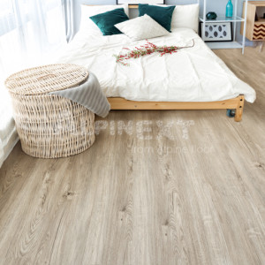 SPC ламинат Alpine Floor Sequoia Еco 6-5 Секвойя серая