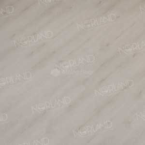 SPC ламинат Norland Sigrid Superior ABA 1008-04 Baldr
