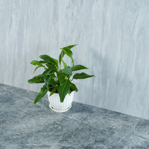 Виниловый SPC ламинат Alpendorf Мрамор 32001-7 Онис