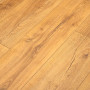 Ламинат Peli Anatolia Platinium AN PLT 905 Дуб Голд