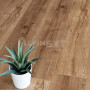 SPC ламинат Alpine Floor Real Wood Eco 2-1 Дуб Royal