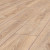 2987 Дуб Ретушированный