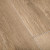 Naples Oak